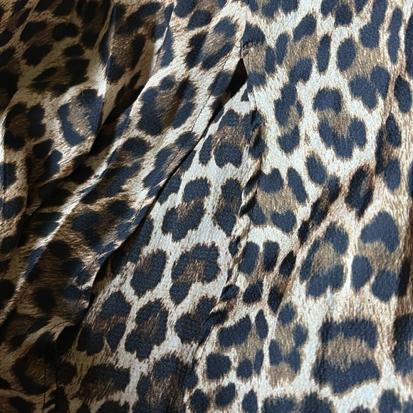 Pretty Zara Pleated Leopard Print Sheer Midi Skirt Size XS - Picture 4 of 5